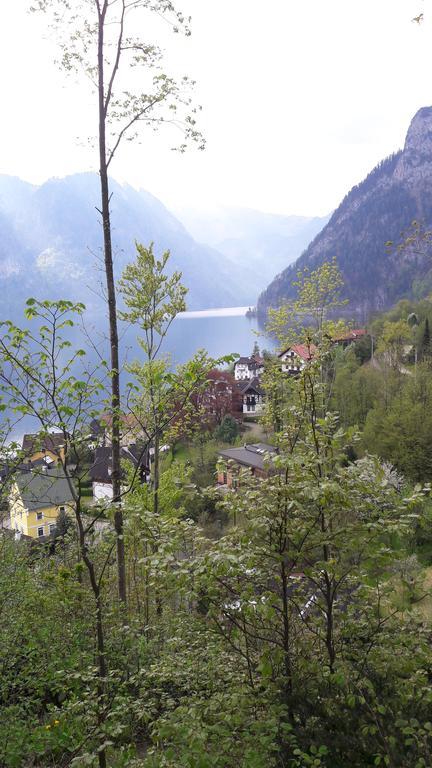 Am Baalstein Apartment Traunkirchen Bagian luar foto
